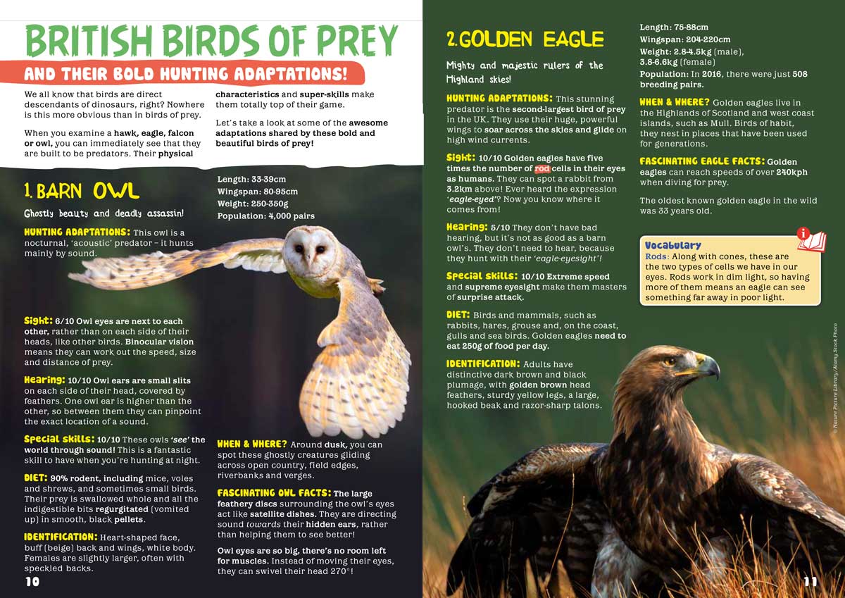 Kid&#39;s Nature Magazines - Issue 49 - British Wildlife