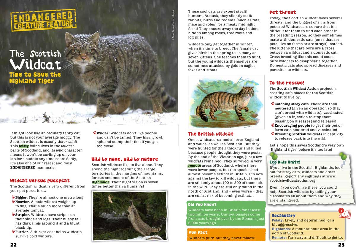 Kid&#39;s Nature Magazines - Issue 49 - British Wildlife